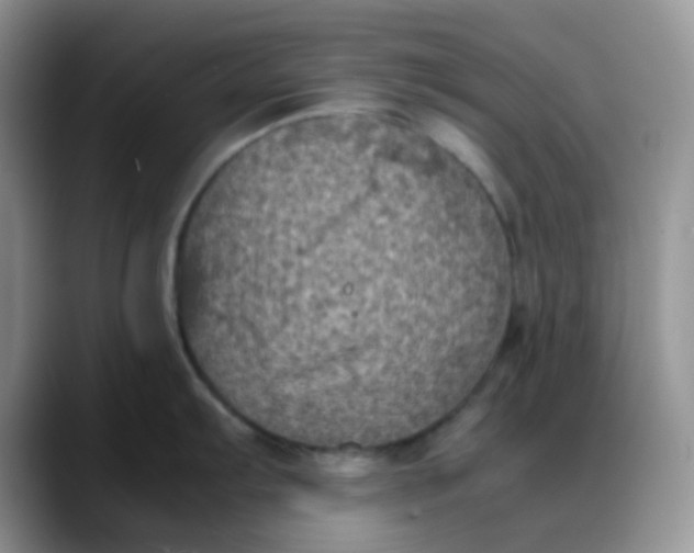 X0000088191103200705292007