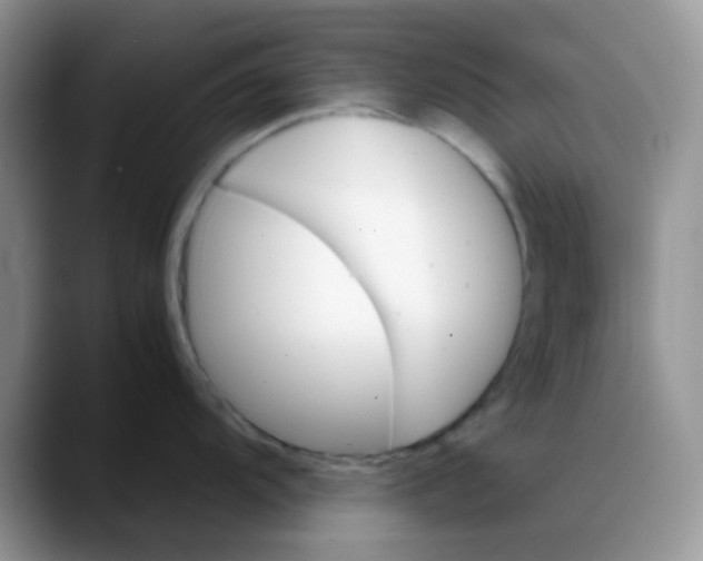 X0000088191104200705292007