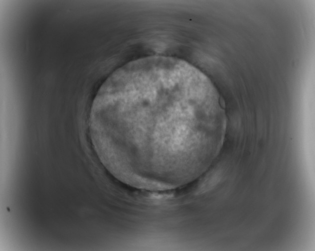 X0000088191105200705292006