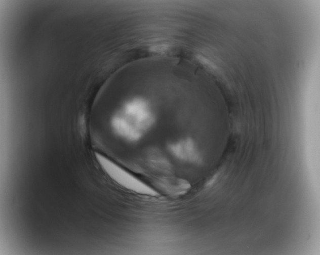 X0000088191106200705292006