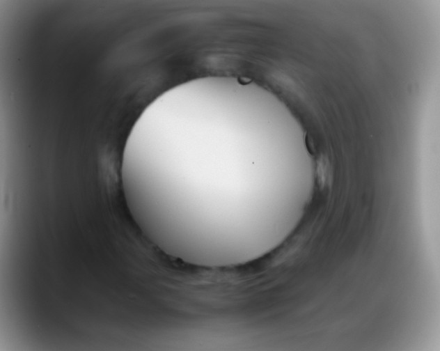 X0000088191107200705292006