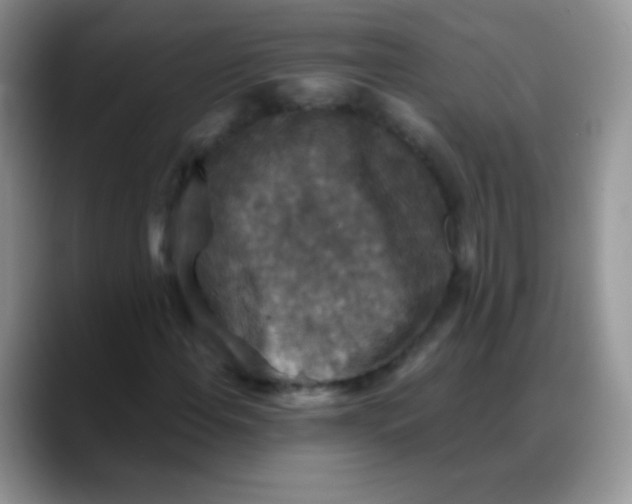 X0000088191108200705292006