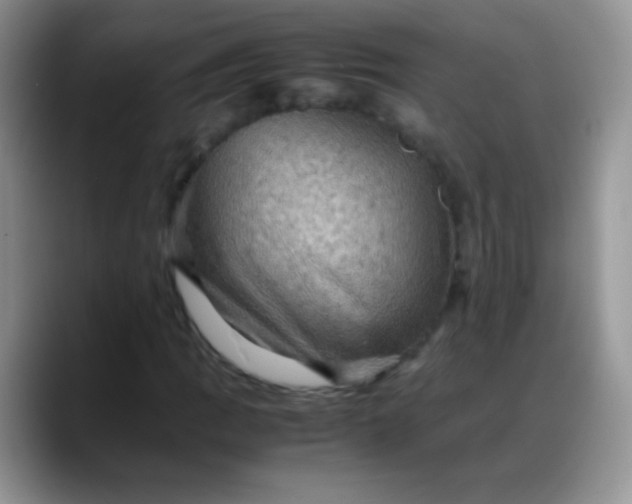 X0000088191109200705292006