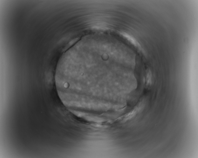 X0000088191110200705292006