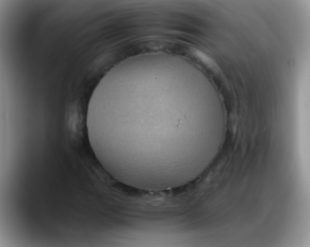 X0000088191111200705292006