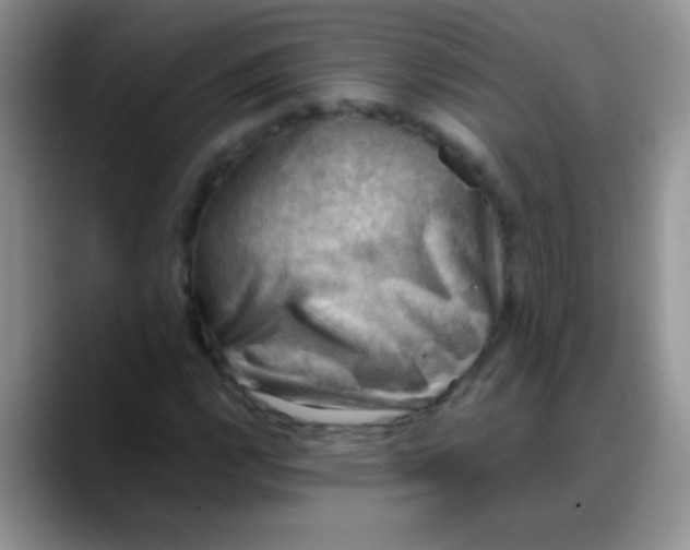 X0000088191112200705292006