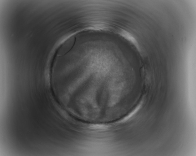 X0000088191114200705292006