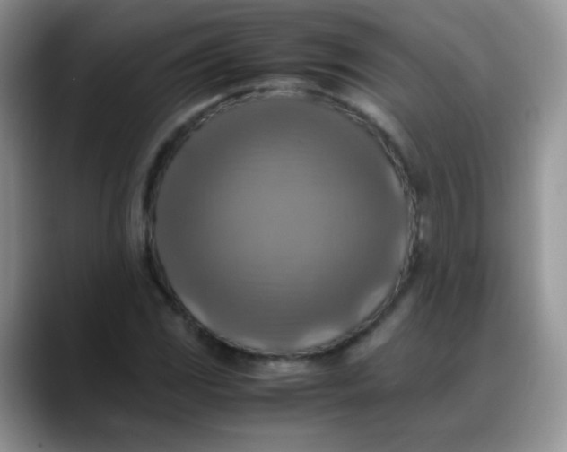 X0000088191117200705292006