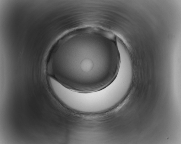 X0000088191118200705292006