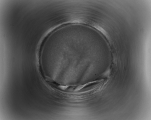 X0000088191120200705292006