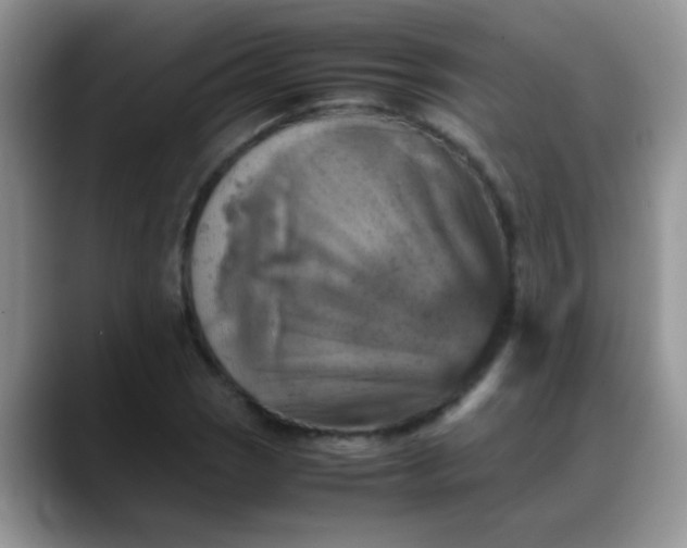 X0000088191121200705292006