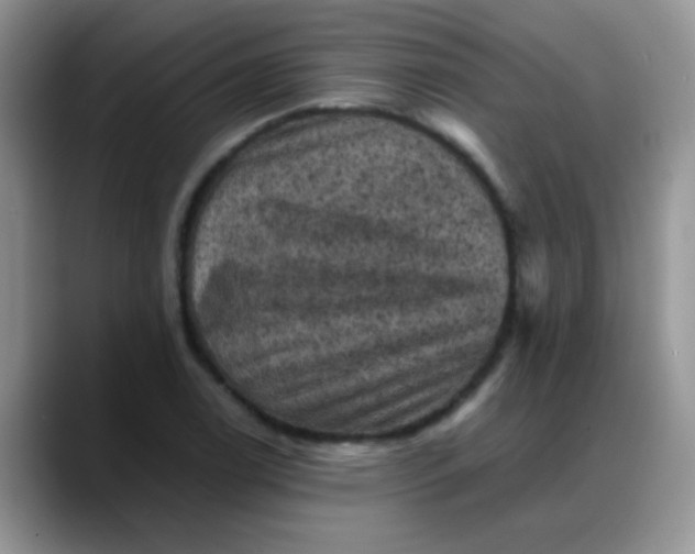 X0000088191122200705292006