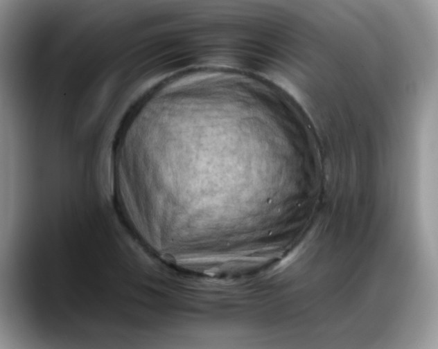 X0000088191123200705292006