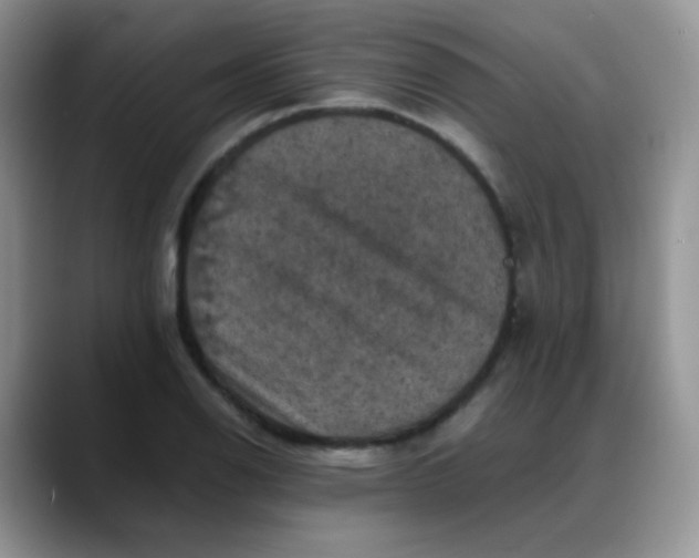 X0000088191126200705292007
