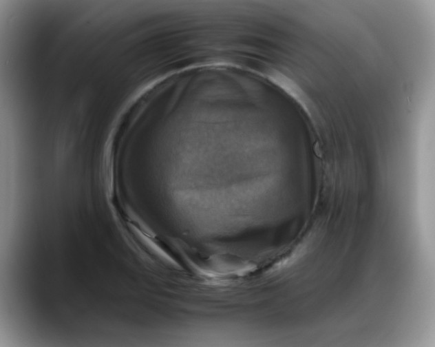 X0000088191127200705292007