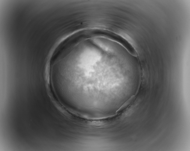 X0000088191128200705292007