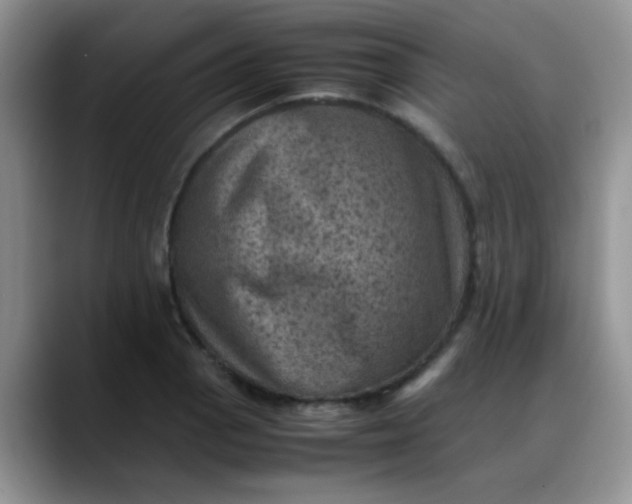 X0000088191129200705292007