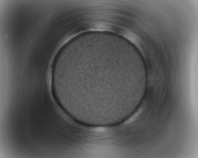 X0000088191130200705292007
