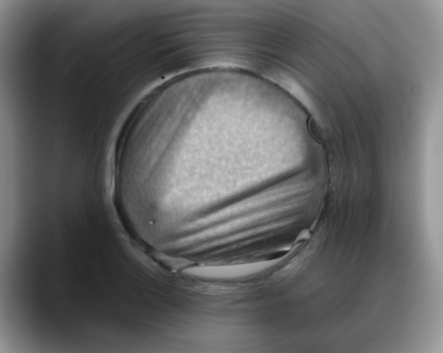 X0000088191132200705292007