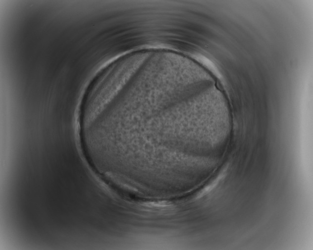 X0000088191133200705292007
