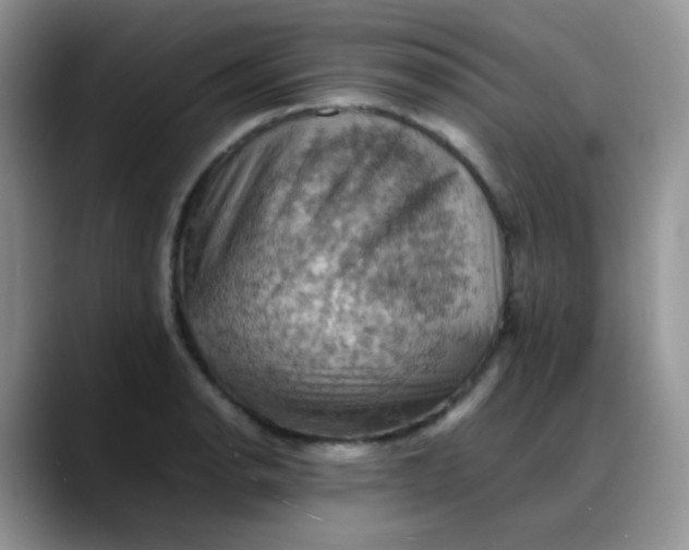 X0000088191134200705292007