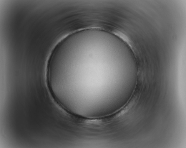 X0000088191135200705292007