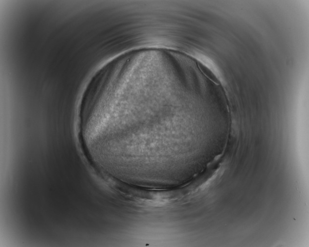 X0000088191136200705292007