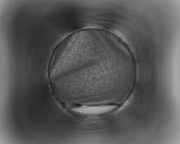X0000088191137200705292007