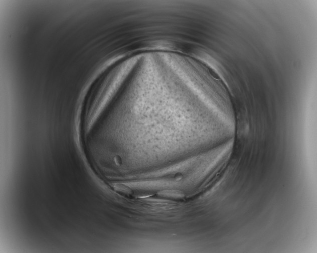 X0000088191139200705292007