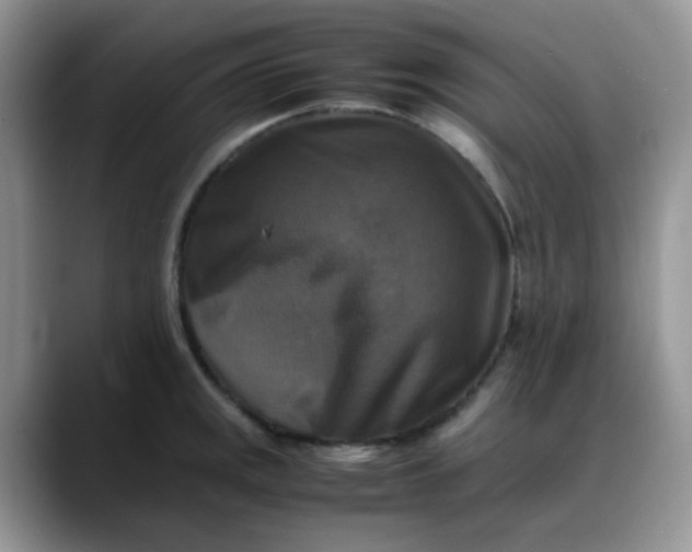 X0000088191141200705292007