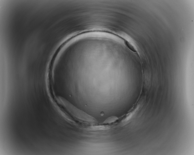 X0000088191142200705292007