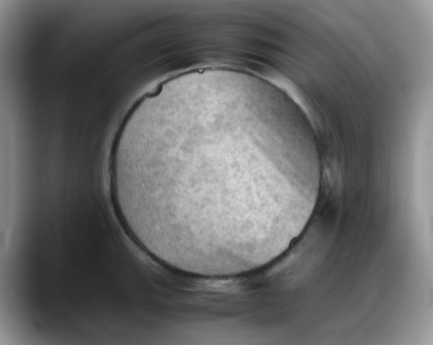 X0000088191143200705292007