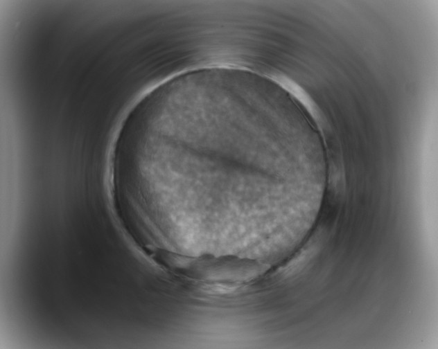 X0000088191144200705292007