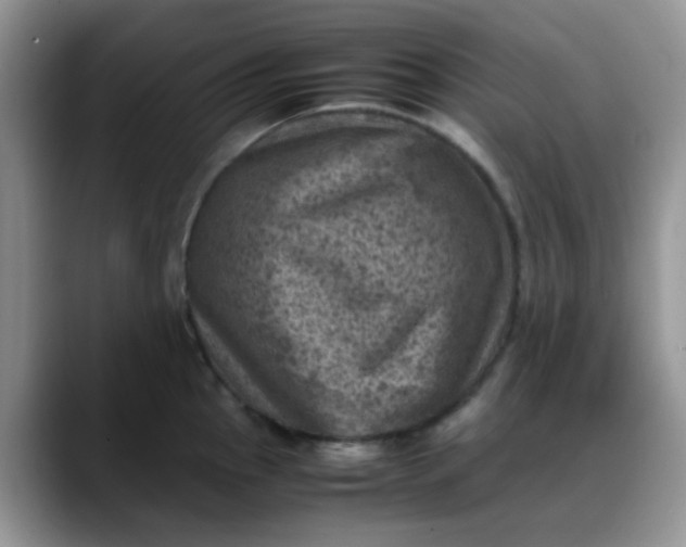 X0000088191145200705292007