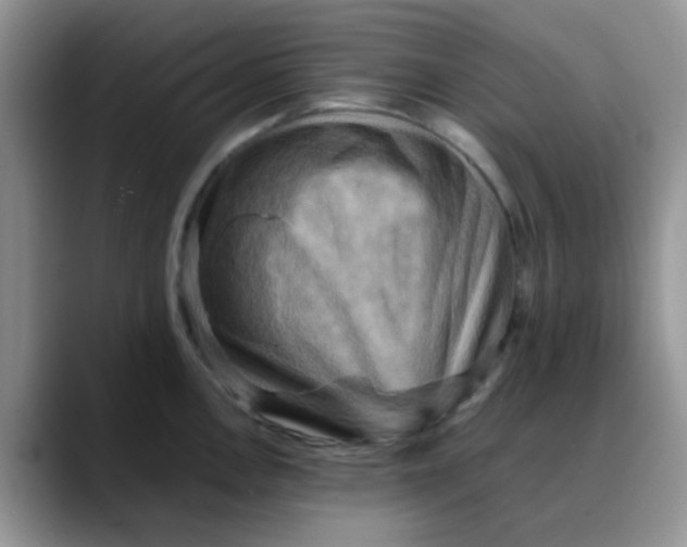 X0000088191146200705292007