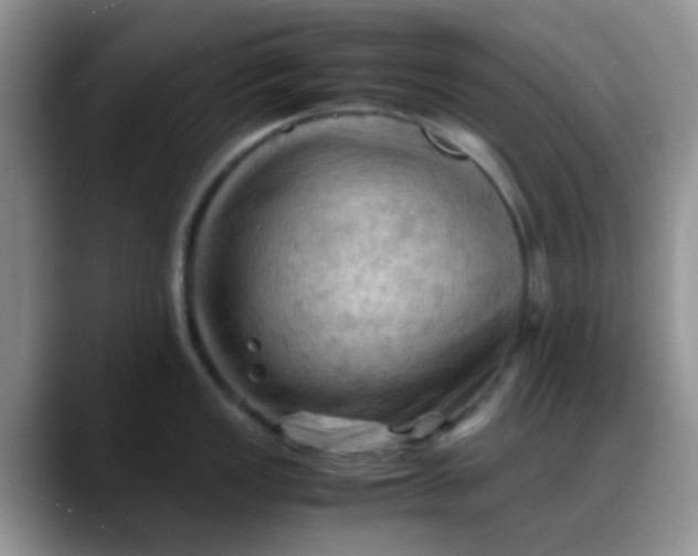X0000088191149200705292007