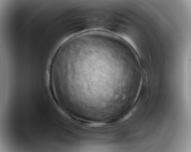 X0000088191151200705292007