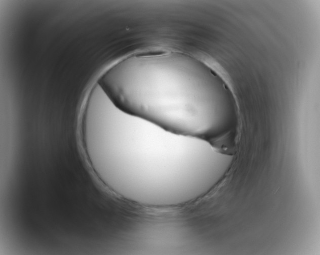 X0000088191152200705292007
