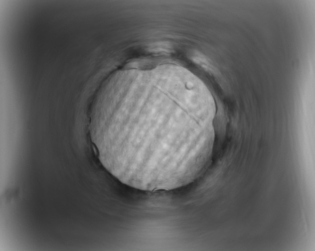X0000088191153200705292006