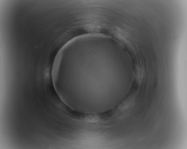 X0000088191154200705292006