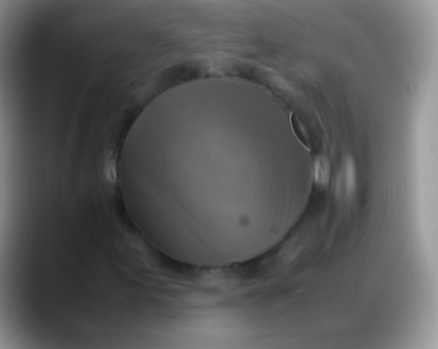 X0000088191155200705292006