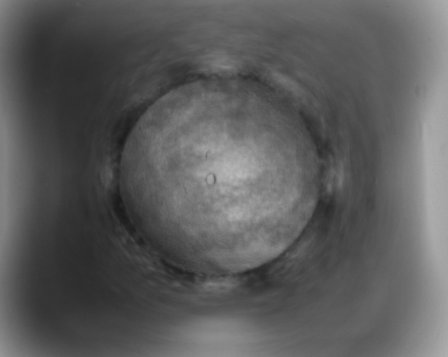 X0000088191157200705292006