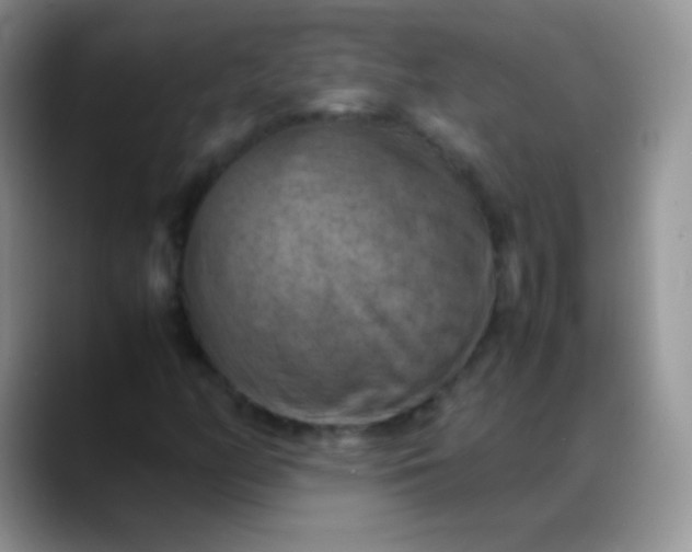 X0000088191158200705292006