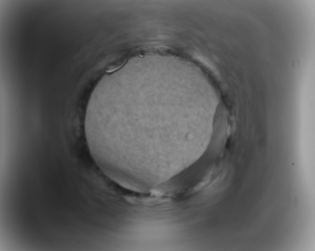 X0000088191159200705292006