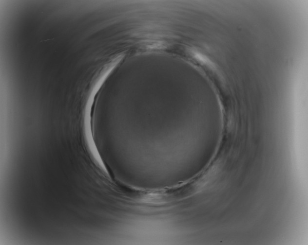 X0000088191161200705292006