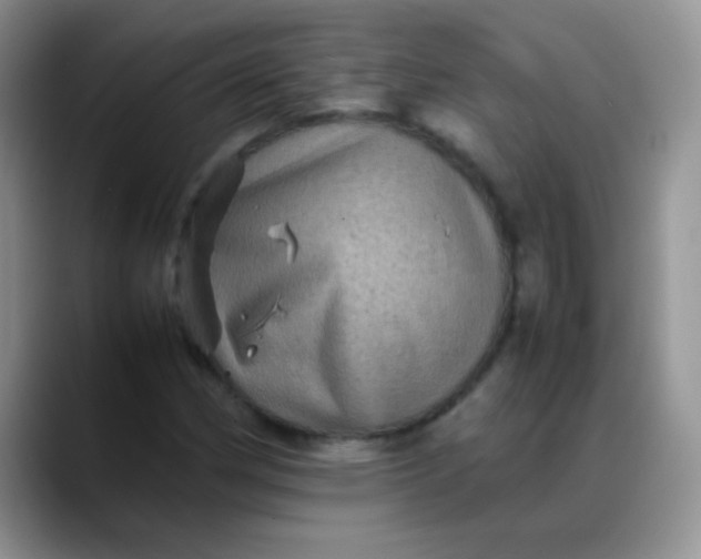 X0000088191162200705292006
