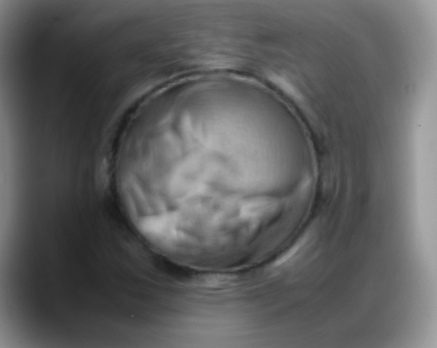 X0000088191163200705292006