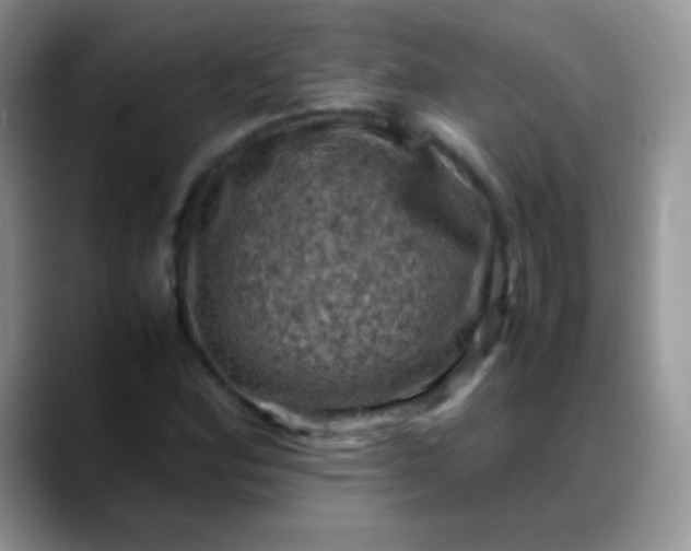 X0000088191164200705292006