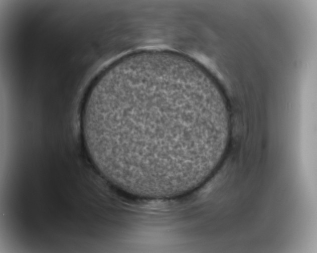 X0000088191167200705292006
