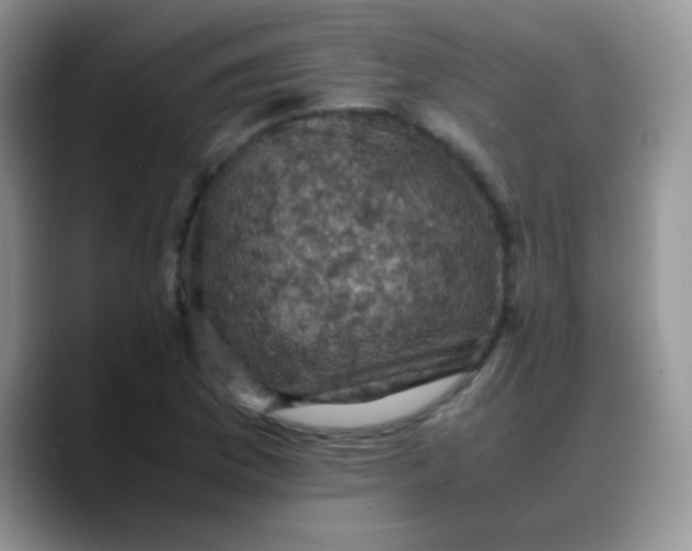 X0000088191169200705292006